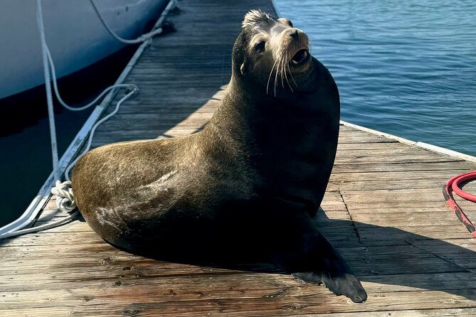 fishermans-wharf-and-pier-39-maritime-food-tour