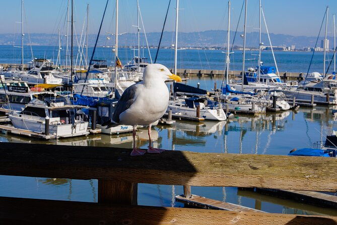 fishermans-wharf-and-pier-39-maritime-food-tour