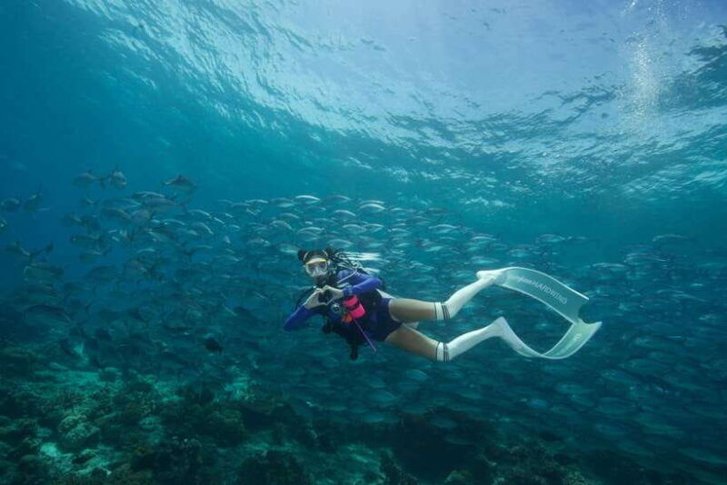 fisheye-divers-advanced-open-water-course