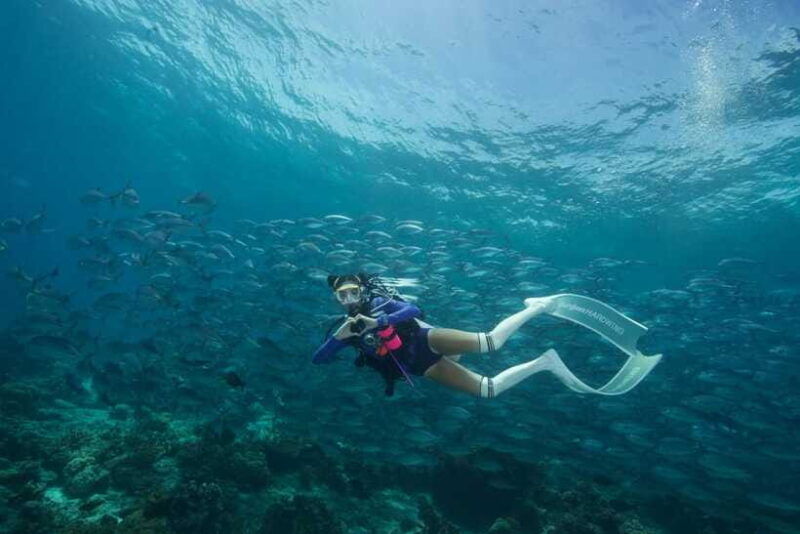 fisheye-divers-advanced-open-water-course