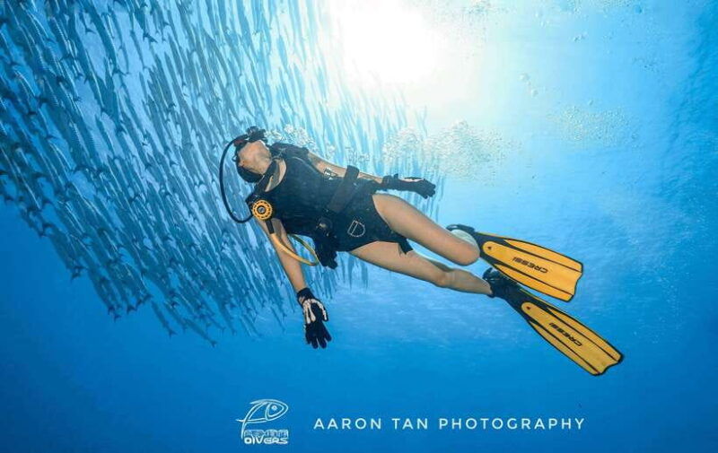 fisheye-divers-discover-scuba-diving