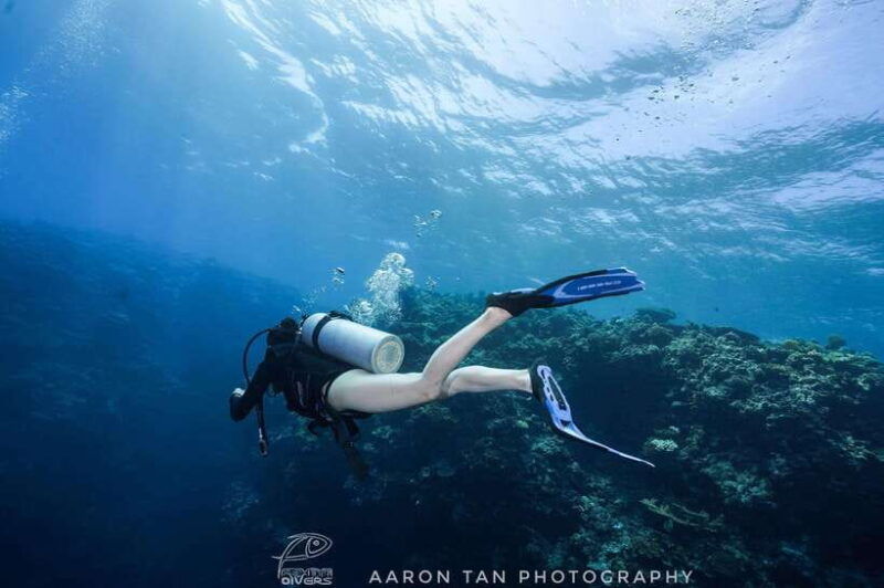 fisheye-divers-discover-scuba-diving