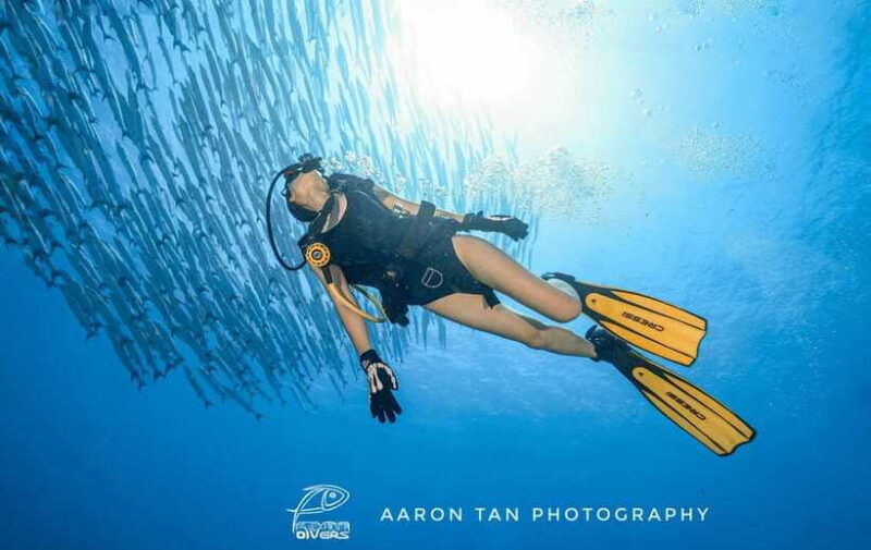 fisheye-divers-discover-scuba-diving