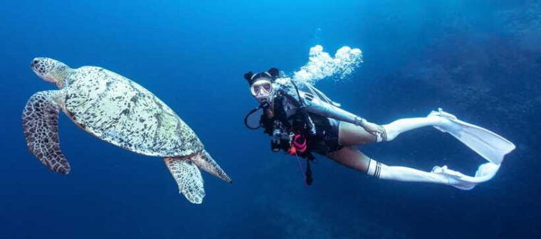 fisheye-divers-discover-scuba-diving