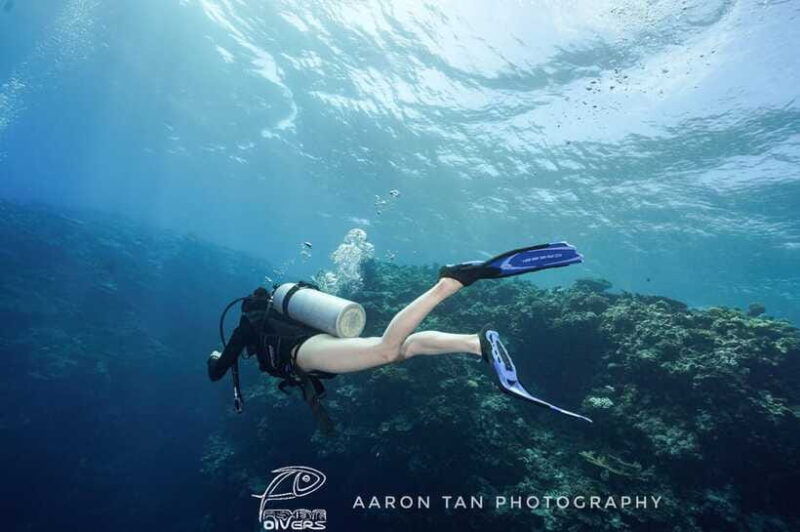 fisheye-divers-padi-open-water-course