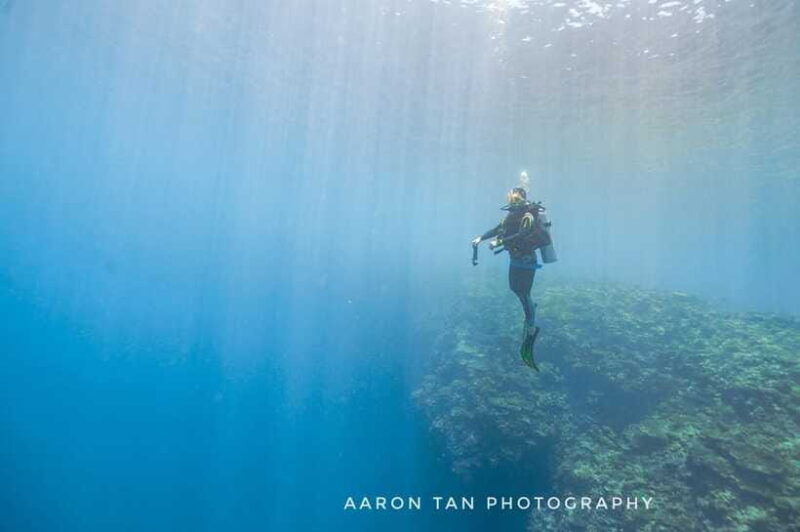 fisheye-divers-padi-open-water-course