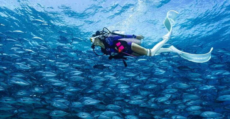 fisheye-divers-padi-open-water-course