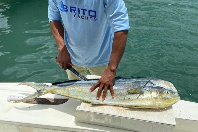 fishing-and-eating-straight-from-the-sea-saona-island-and-palmilla
