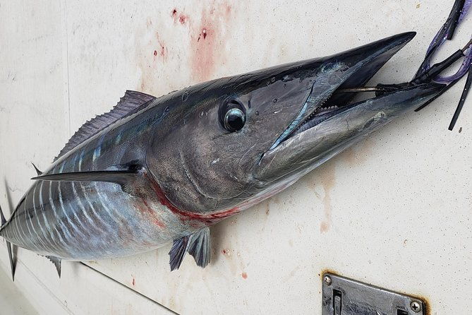 fishing-charter-4-hours