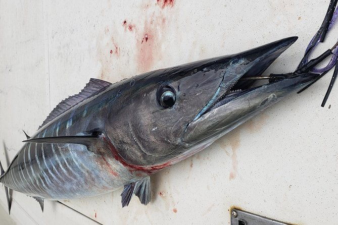 fishing-charter-6-hours