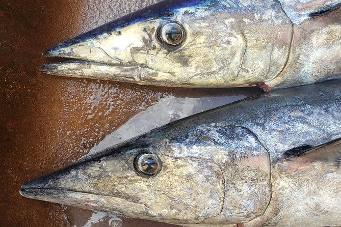 fishing-charter-8-hours