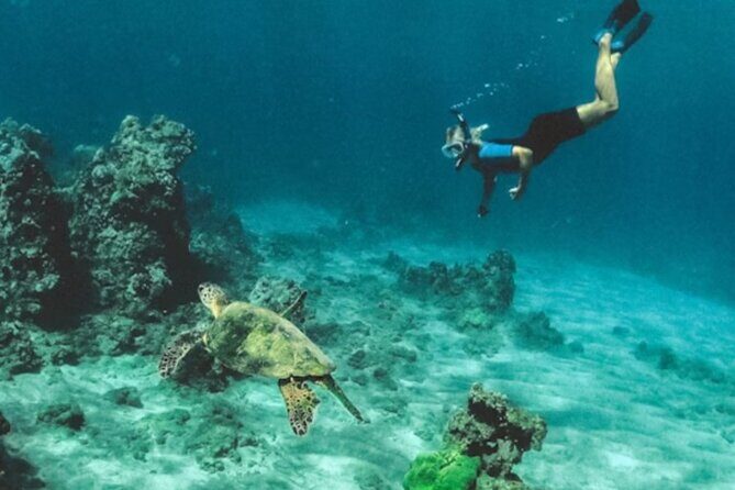 Fishing Charter and Tours - What to Expect from the Magnum Express Experience