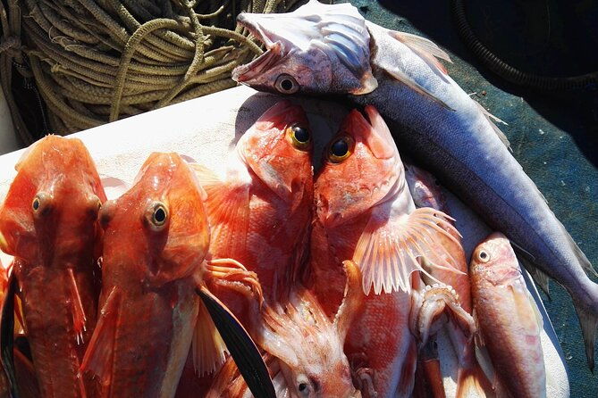 fishing-experience-around-capri-from-sorrento-with-lunch-onboard