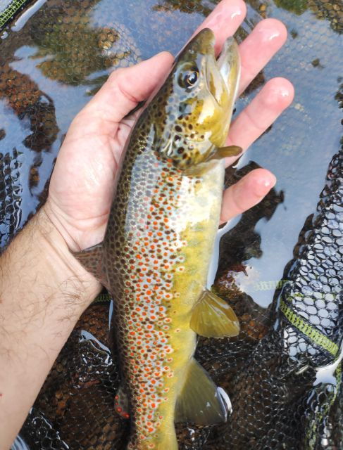 fishing-in-the-dolomites-book-your-wild-excursion