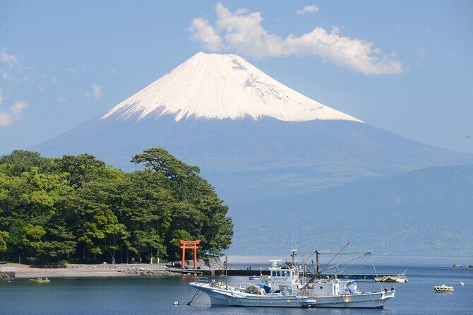 Fishing Tour Experience in Heda Numazu Shizuoka - The Sum Up