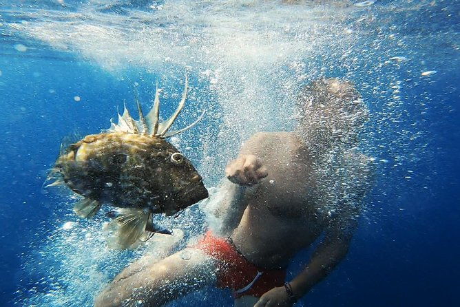 fishing-tour-to-vis-and-bisevo-islands-full-day-experience