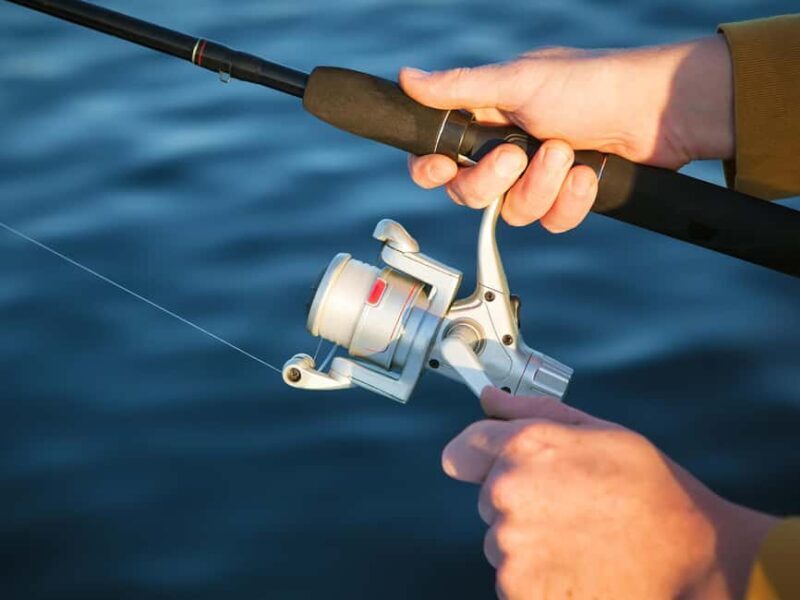 Fishing Trip 4 hours Tour - Final thoughts