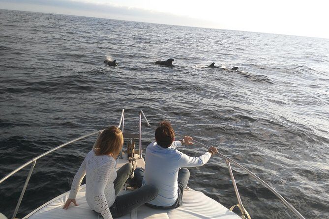 Fishing trip, Tenerife Sea Passion - Introduction: What’s the Appeal?