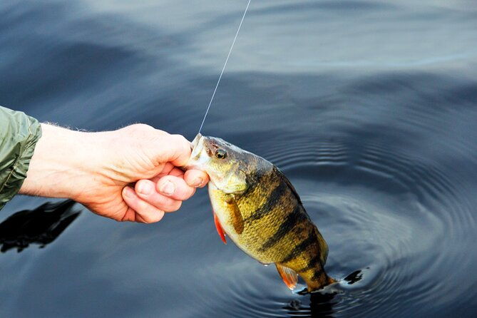 fishing-with-barbecue-in-santos-includes-fishing-gear-and-supplies