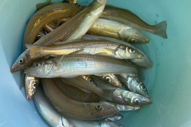 fishing-with-mt-fuji-views-and-japanese-home-cooking-experience