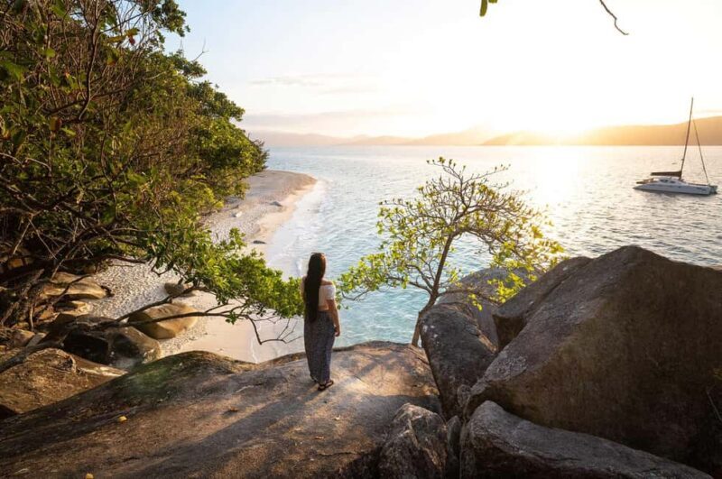 Fitzroy Island: Full-Day Ferry & Snorkel Safari Guided Tour - Key Points