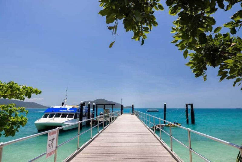 Fitzroy Island: Full-Day Ferry & Snorkel Safari Guided Tour - An In-Depth Look at the Fitzroy Island Experience
