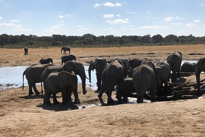 Five-Day Hwange NP, Chobe NP and Victoria Falls Combo - Key Points