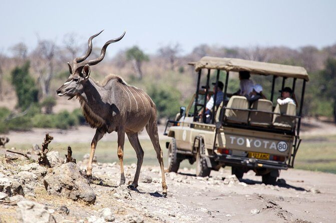 Five-Day Hwange NP, Chobe NP and Victoria Falls Combo - FAQ