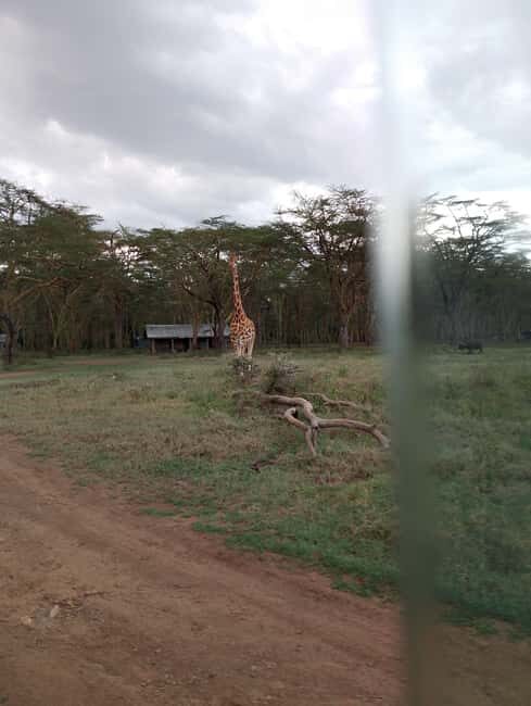 Five Days Mount Meru Climbing - The Journey: What to Expect from Start to Finish