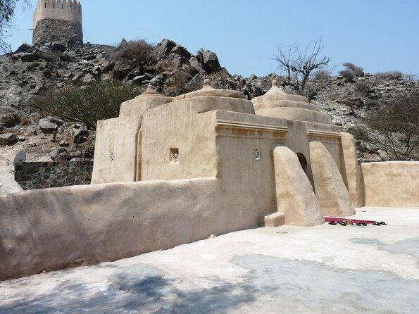 Five Emirates Tour from Dubai! A Day trip to countryside of UAE! - Key Points