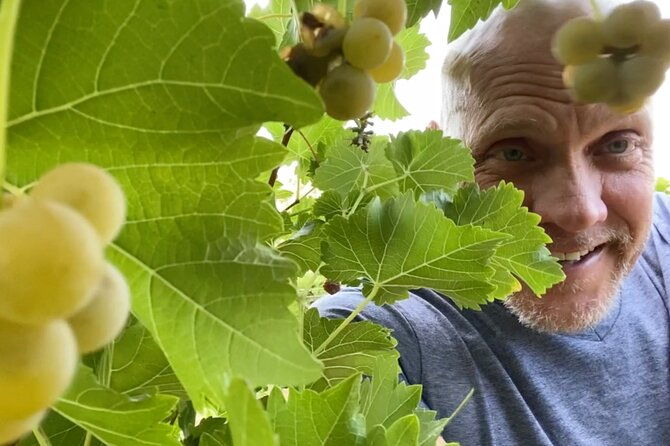 five-star-az-wine-crawler-tour-4-12-ppl