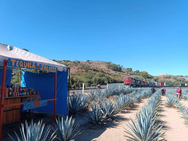 five-star-factory-meet-orendain-tequila