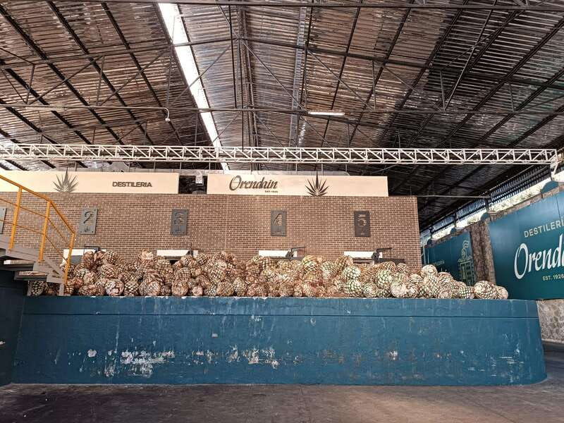 five-star-factory-meet-orendain-tequila