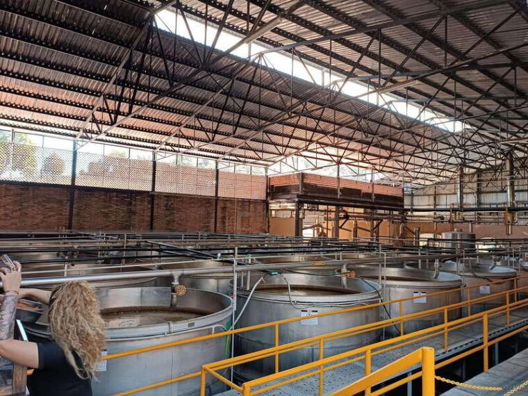 five-star-factory-meet-orendain-tequila