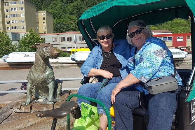 five-star-juneau-pedicab-private-tour