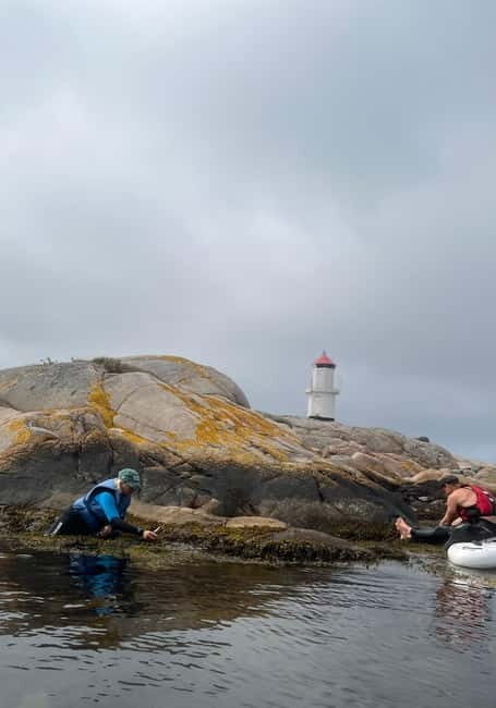 Fjällbacka: Seaweed Picking and SUP Paddling Tour - Exploring Fjällbacka: A Coastal Gem
