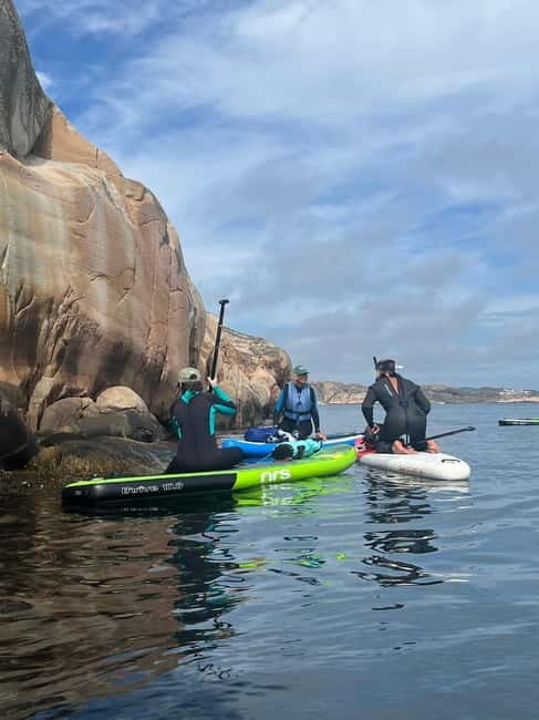 Fjällbacka: Seaweed Picking and SUP Paddling Tour - Practical Considerations