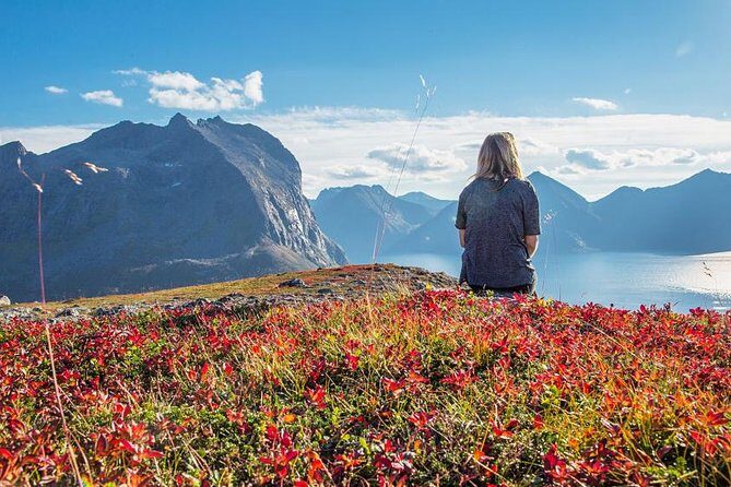 Fjord Expedition: Arctic Adventure Awaits - Who Should Book This Tour?