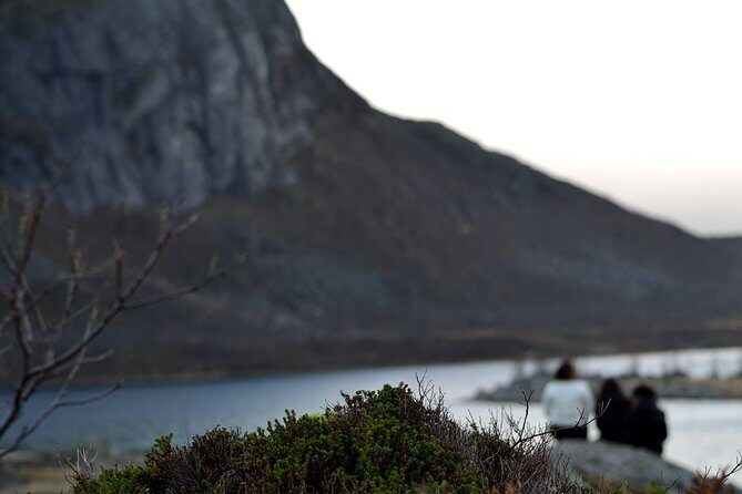 Fjord Expedition: Arctic Adventure Awaits - The Sum Up