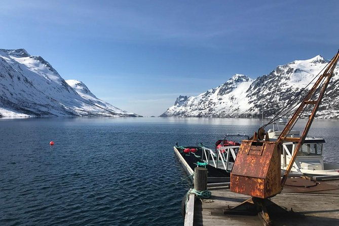 fjord-sightseeing-eco-friendly-tesla-model-x
