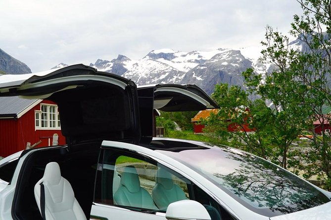 fjord-sightseeing-eco-friendly-tesla-model-x