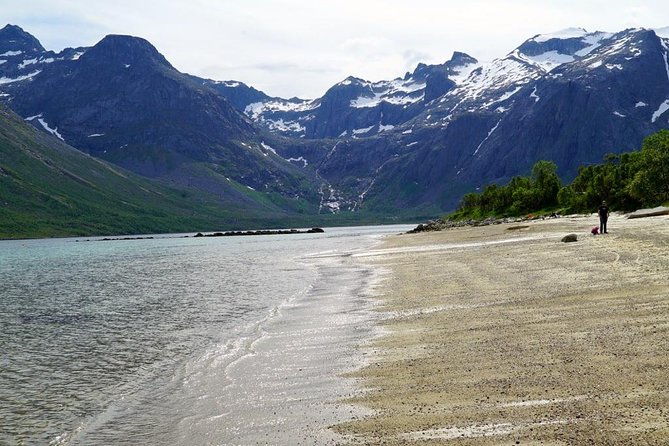 fjord-sightseeing-eco-friendly-tesla-model-x