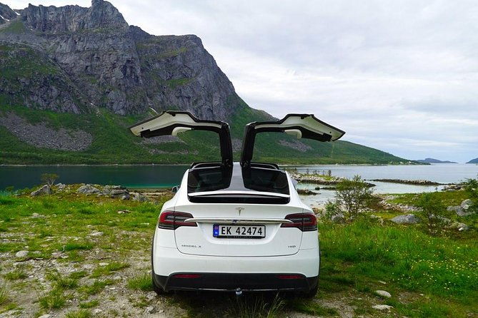 fjord-sightseeing-eco-friendly-tesla-model-x