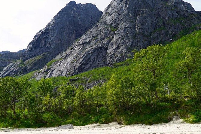 fjord-sightseeing-eco-friendly-tesla-model-x