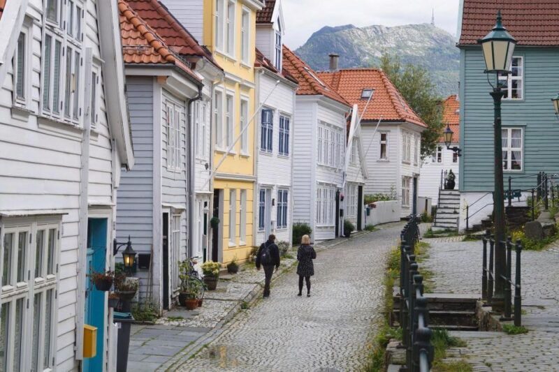 flam-borgund-stave-church-laerdal-and-stegastein-tour