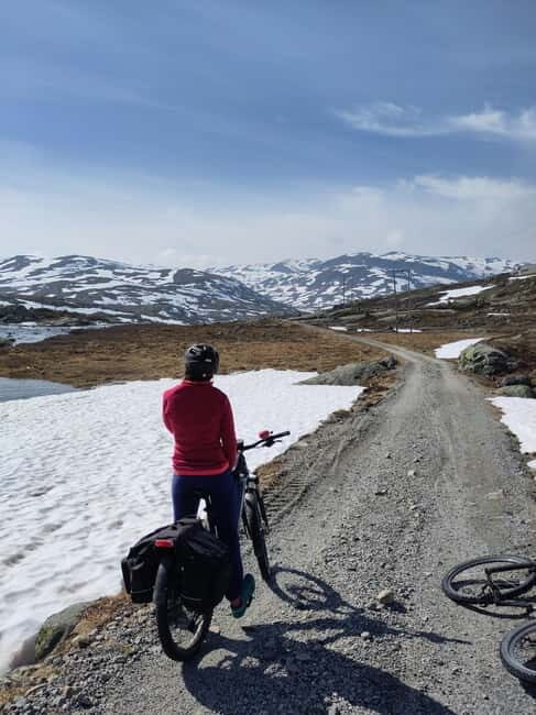 Flam-Myrdal: Guided e-bike tour on the famous Rallarvegen. - Authentic Insights from Reviews