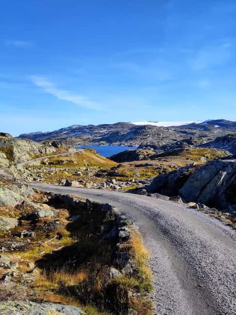 Flam-Myrdal: Guided e-bike tour on the famous Rallarvegen. - The Sum Up