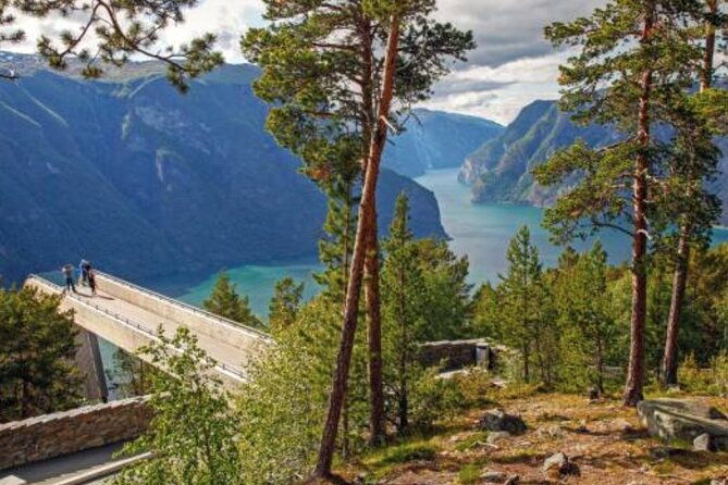 flam-the-spectacular-stegastein-viewpoint-tour-small-group