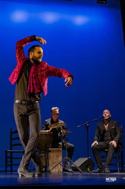 Flamenco Show at La Guarida del Angel with Drink - Who Will Love This Flamenco Show?
