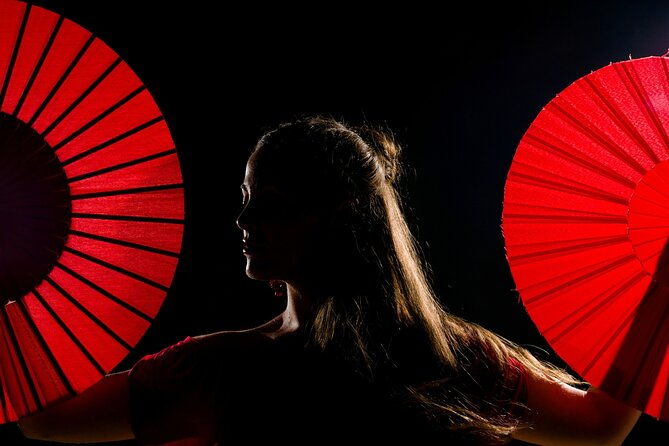 flamenco-show-tasting-tapas-with-panoramic-views-in-madrid